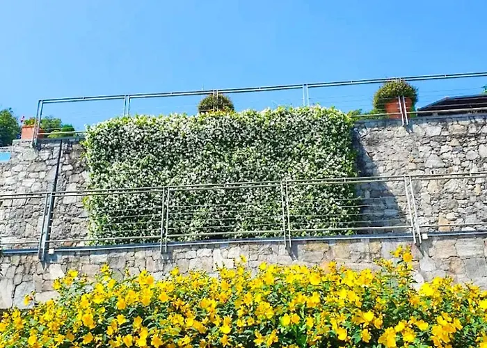 Apartment Infinity-pool Belgirate